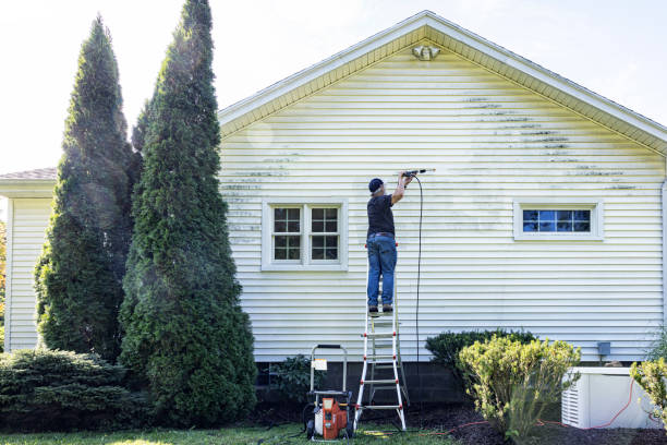 Best Driveway Pressure Washing  in Arlington, NY